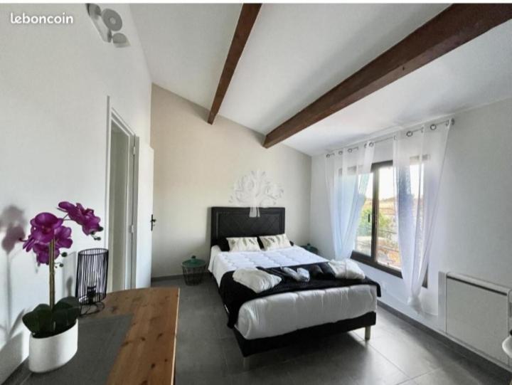 Villa Bandol Proche Du Port Et Des Plages Zewnętrze zdjęcie